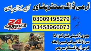Army Dog Center Peshawar || #armydogcenter Peshawar Khoji Dogs Contact Number | Fauji Kuttay