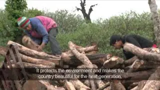 Nepal: a future for people and forests