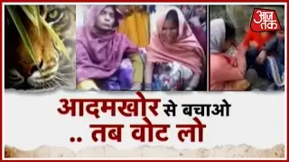 UP: Two Killed By Tigress In Three Days In Pilibhit