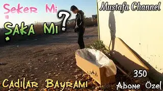Şeker Mi Şaka Mı? - Mustafa Şen (Official Music Video)