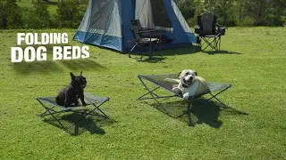 Folding Dog Beds and Padded Toppers