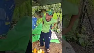 Ngabas umai 