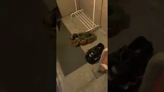 Porch Collapsing - Buss inspection issue of the day !