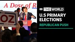 Two Trump-backed candidates win U.S. election primaries, but two fall short | The World