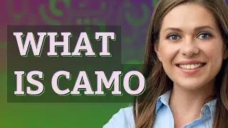 Camo | meaning of Camo