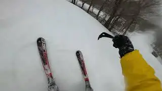 Skiing Tongora at Bellayre | Double Black with Moguls