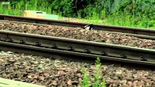 The Railway: Keeping Britain on Track Episode 2:Summer Madness