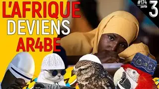 Ces noirabes participent &agrave; l'arabisation de l'Afrique 👉🏾 Live du 10 septembre partie 3