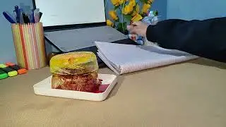 1 hour | Study with me | Study with me till the ice melts | India
