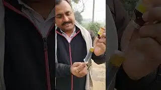 Mofolox injection:use:-RTI, UTI, Mastitis, any Bacterial problem#animals #viral #trending