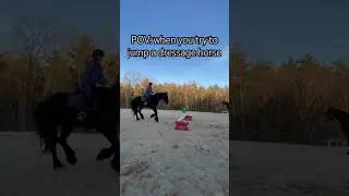 POV: when you try to jump a dressage horse #equestrian #Friesian ￼