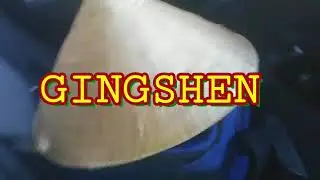 Gingshen