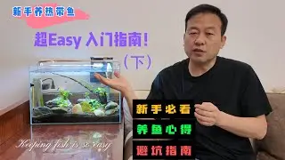 【常见问题】新手养热带鱼：超Easy入门指南（下）｜问题解答｜注意事项｜避坑指南｜鱼缸生态｜光照｜繁殖｜寿命｜长期无人时照料