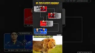 IPL 2025 playoffs roadmap