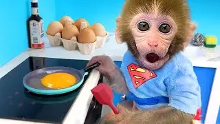 Baby Monkey Bon Bon go to the toilet and playing with the Mama Cat So cute | Bon Bon Indonesian