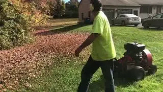 MASSIVE LEAF CLEANUP WITH OUR NEW FRADAN BLOWER