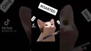 How to roast people