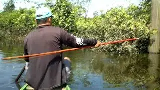 Pesca com Arp&atilde;o - RDS Mamirau&aacute;