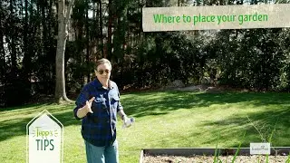 Garden Positioning for BEST Harvest - Topp's Tips