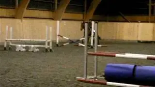 Hopptr&auml;ning av High Zurprise