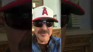 How to Day Trade andPete the bird.