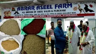 abrar aseel farm All pet feed available 9542375143 in hyderabad