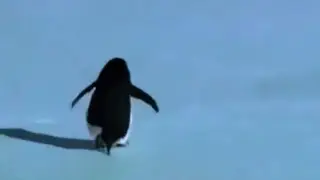 Penguin Mountain Edit