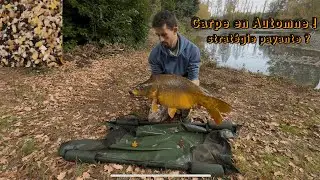 La carpe en Automne dans les herbiers !
