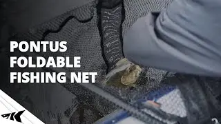 NEW KastKing Pontus Foldable Fishing Net