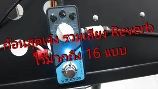 VALETON Coral Verb II Digital Modelling Reverb