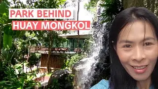 Vaccine in Hua Hin, adopting a new cat and Huay Mongkol Park