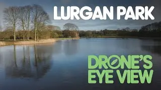 Is Lurgan Park the Best Park Ever?