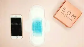 Korean Sanitary Pad Review #30 Organic Bon   Test 1