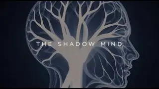Who Are You Beneath the Narrative? | Welcome to The Shadow Mind