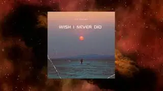 Lil Chunk-Wish I Never Did (Official Music Visualizer)