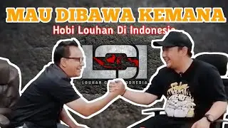 Mau Dibawa Kemana Hobi Louhan di Indonesia ? 