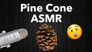 Warning Extreme Tingles ASMR 4K