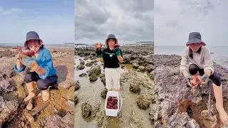 Catch red bread crabs🐌 Crab bread #crab #fishing #catching #hunting
