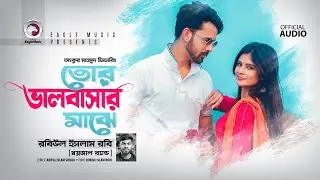 তোর ভালোবাসার মাঝে | Tor Bhalobashar Majhe | Robiul Islam Robi | Bangla Song | Official Audio