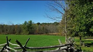 Restoration Proclamation