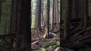Manhandler Drop #mtb #girlswhoride #radchick #eaglemountain #manhandler #torca #enduromtb