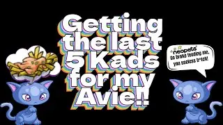 FEEDING HUNGRY KITTIES for the Kadoatery Avatar NEOPETS