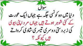 Top islamic question and answer | general knowledge quiz in urdu |gk paheliyan