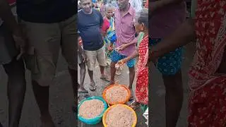 💥🦐 Kasimedu Fresh Chennakunni very low price | Kasimedu fish market #fish #prawn #shorts #trending