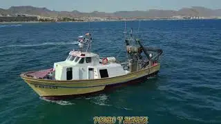 Arrastreros de Puerto de Mazarrón entrando a puerto 07-07-2023.