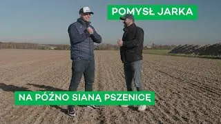 PÓŹNO SIANA PSZENICA PO BURAKACH - #241 nawozy nonstop
