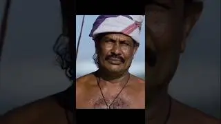 Sri Lanka stilt fishing unique style