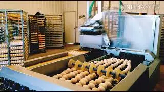 Farm Robot - Nest Egg Farm Chicken Houses