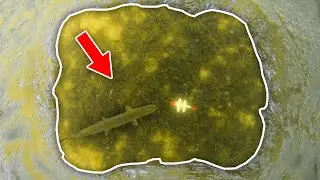 Pike SPEARING Through The ICE - Michigan Northern Pike Spearing