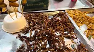 Exotic food in thailand 
